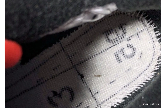 308497-116 Jordan 4 Pale Citron 308497 116 Air 1016